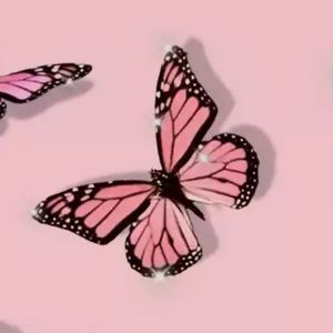 Meet your Posher, Lizeth